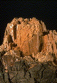 Advanced decay of Douglas-fir by F. pinicola - &nbsp;Click on the image to see a larger version